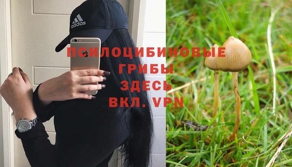 винт Алексеевка