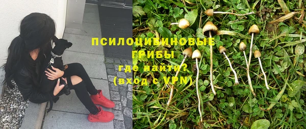 круглые Алексин