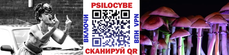 мега рабочий сайт  где купить наркоту  Большой Камень  Псилоцибиновые грибы Psilocybine cubensis 