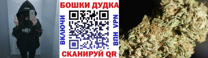как найти   Большой Камень  Бошки Шишки конопля 